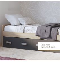 Cama Nido con 2 Cajones de Almacenaje – Puccini Grafito, 194,4 cm Largo x 98 cm Ancho x 58 cm Alto