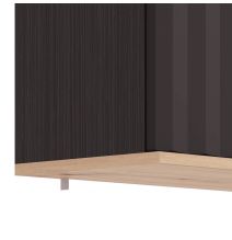 Composición de Salón en Melamina Aglomerada con Acabado Roble Artisan y Estructura Negra- Medidas 218x40x200 cm